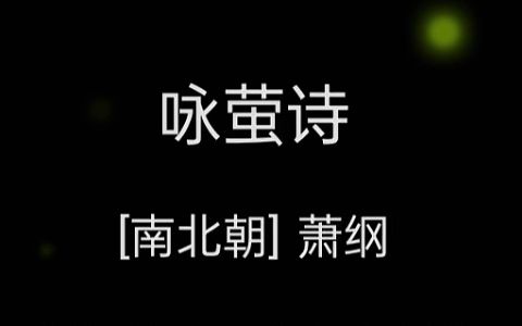 逢君拾光彩,不吝此生倾哔哩哔哩bilibili