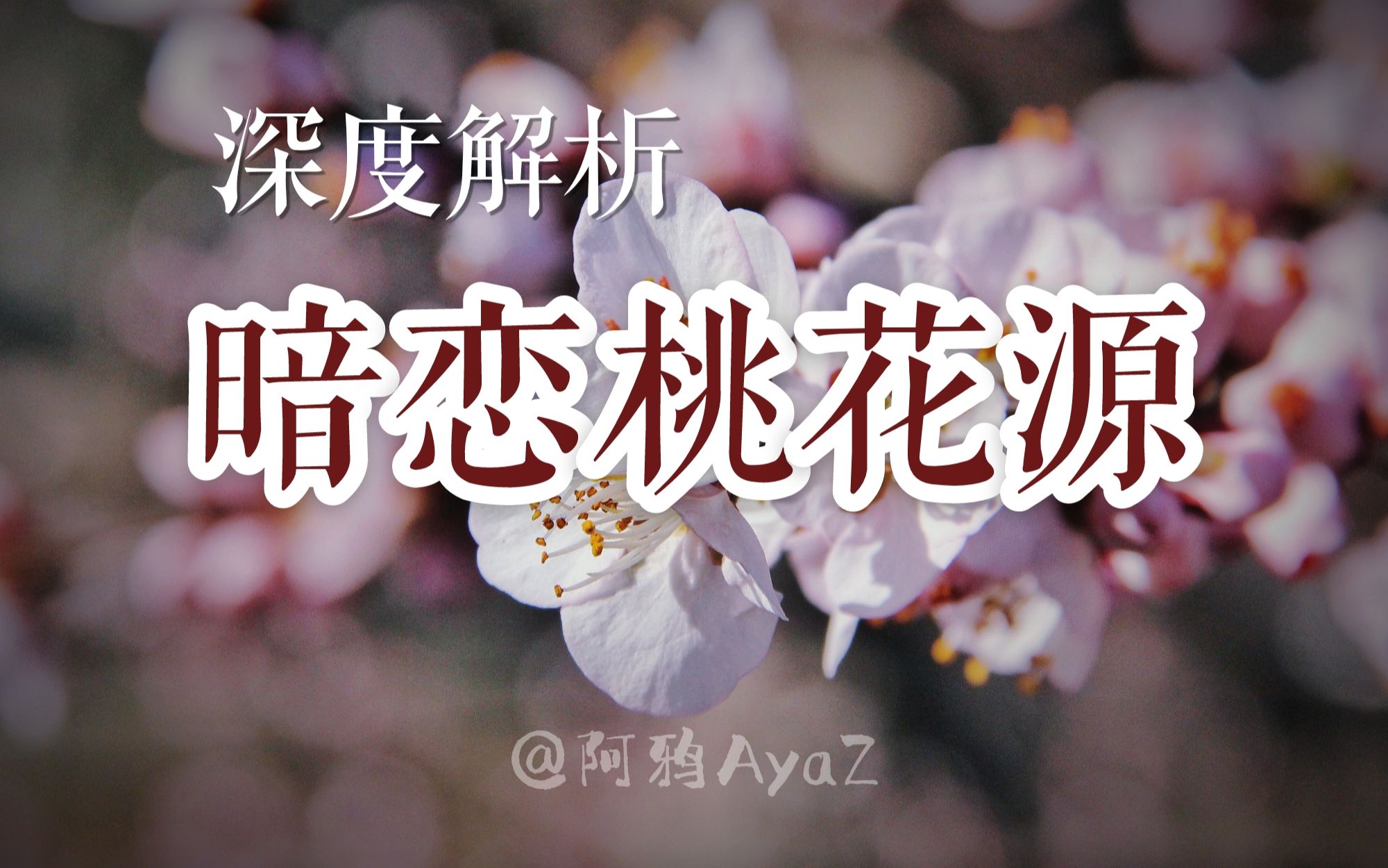 万字长评|深度解读《暗恋桃花源》:桃花源篇哔哩哔哩bilibili