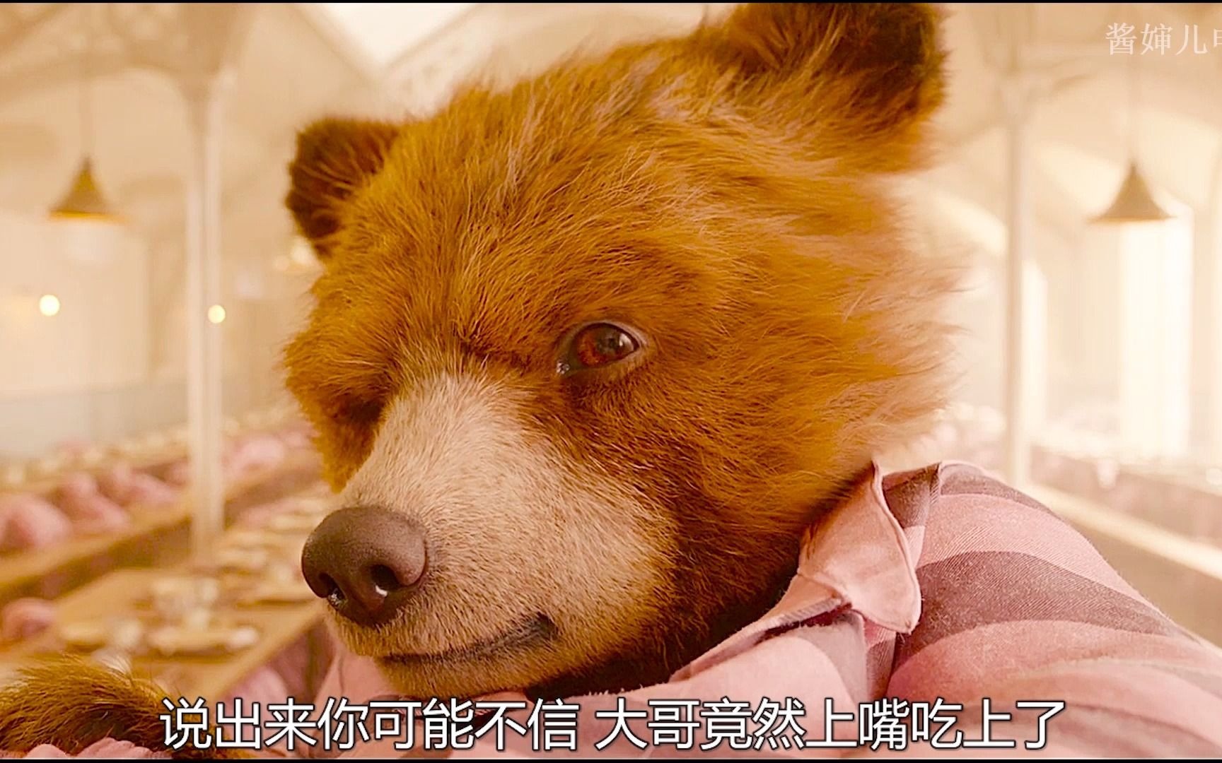 一只熊在监狱混成了老大最后带狱友成功越狱搞笑大片