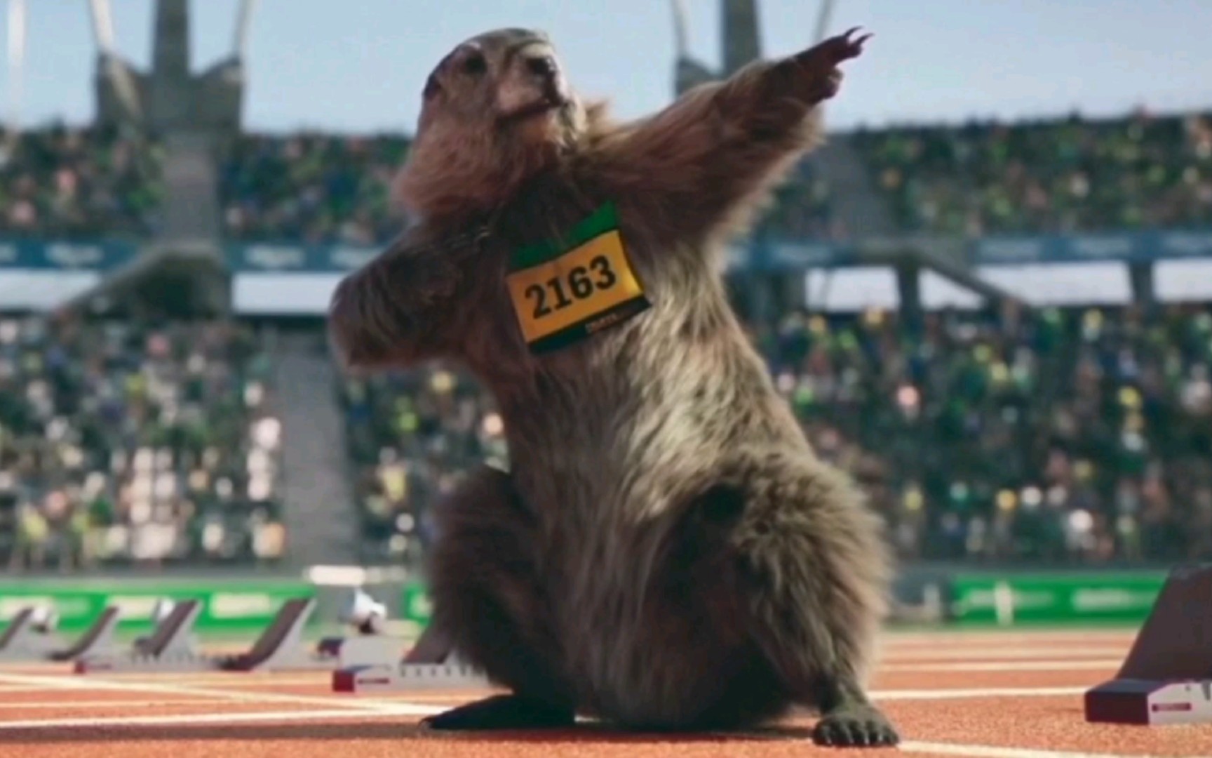 土拨鼠运动会!_哔哩哔哩_bilibili