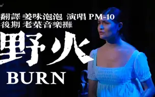 Скачать видео: 【Hamilton】《Burn》译配——《野火》