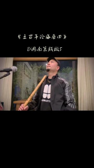 经典旋律《五百年沧海桑田》D调南箫做5演奏哔哩哔哩bilibili