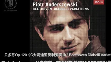その他 Piotr Anderszewski: Play The Diabelli Variations [DVD] [Import] cm3dmju 71wTXMOtpgL._UF1000,1000_QL80_.jpg