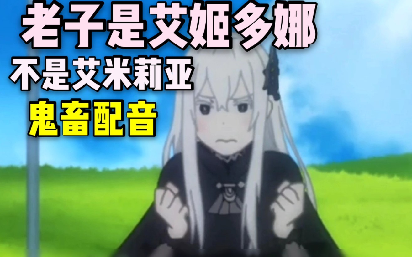 被菜月昴认成了艾米莉亚的艾姬多娜【从零开始的异世界生活】
