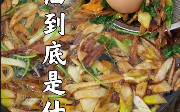 做菜的料油到底是什么?哔哩哔哩bilibili