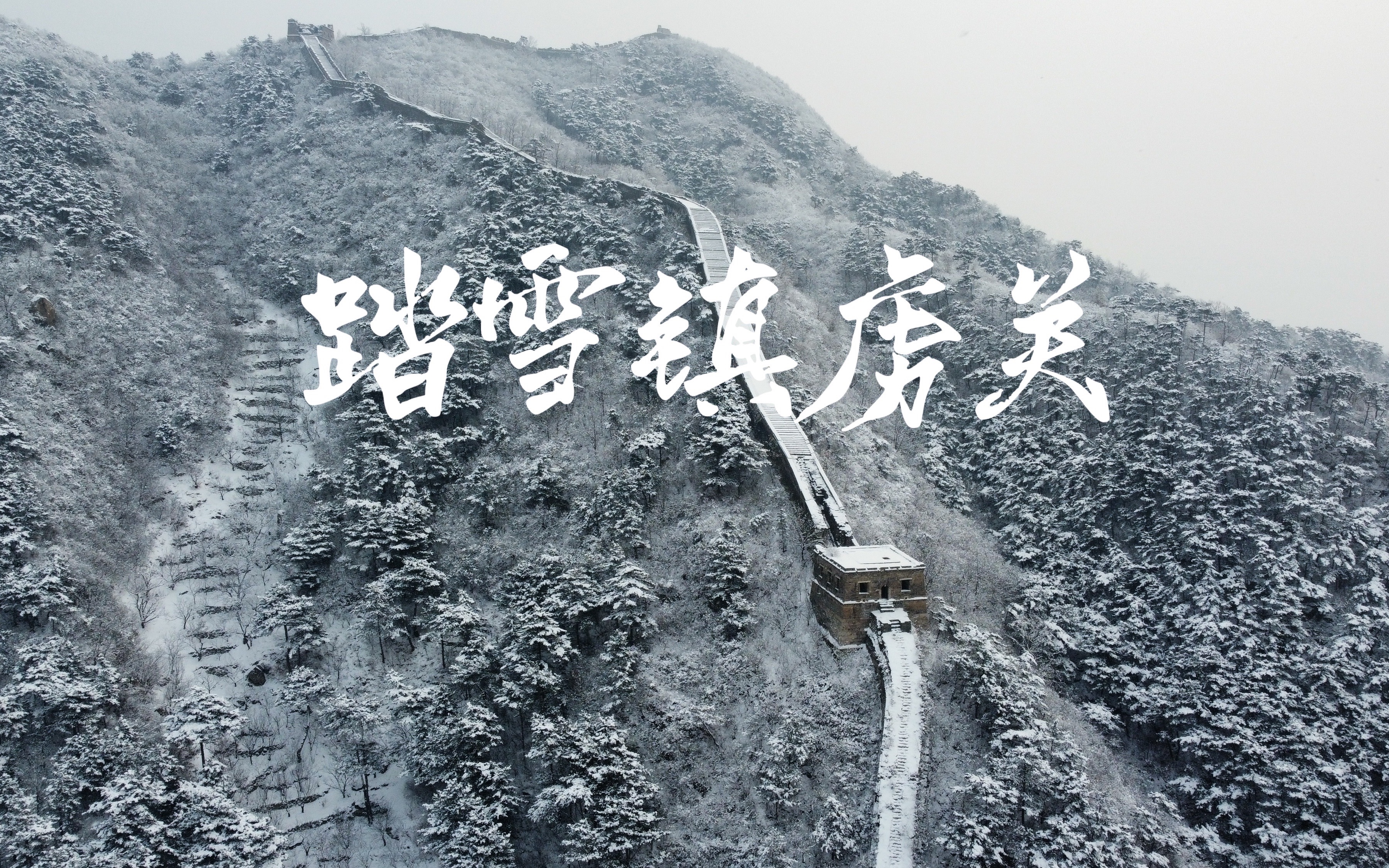 [图]2022年1月北京忽降大雪，带上狗子踏雪而行，抓住放飞机的时间尾巴，风景美不胜收