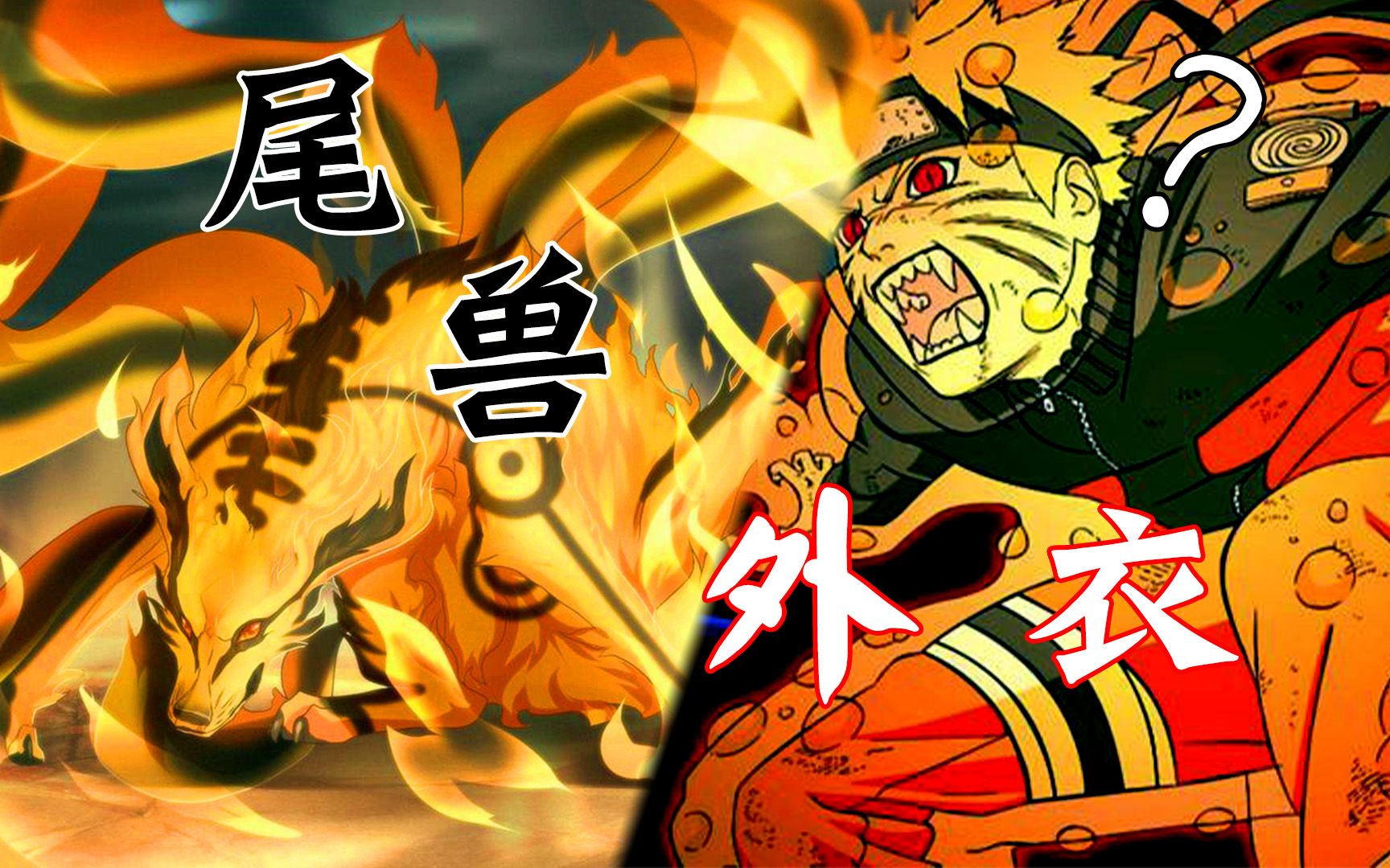 关于尾兽的设定