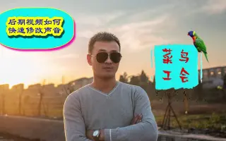 视频如何改变声音，轻松简单一招搞定，还免费