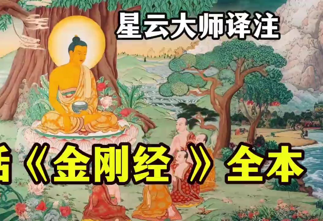 白话《金刚经 》一小时了解《金刚般若波罗蜜经》星云大师译哔哩哔哩bilibili