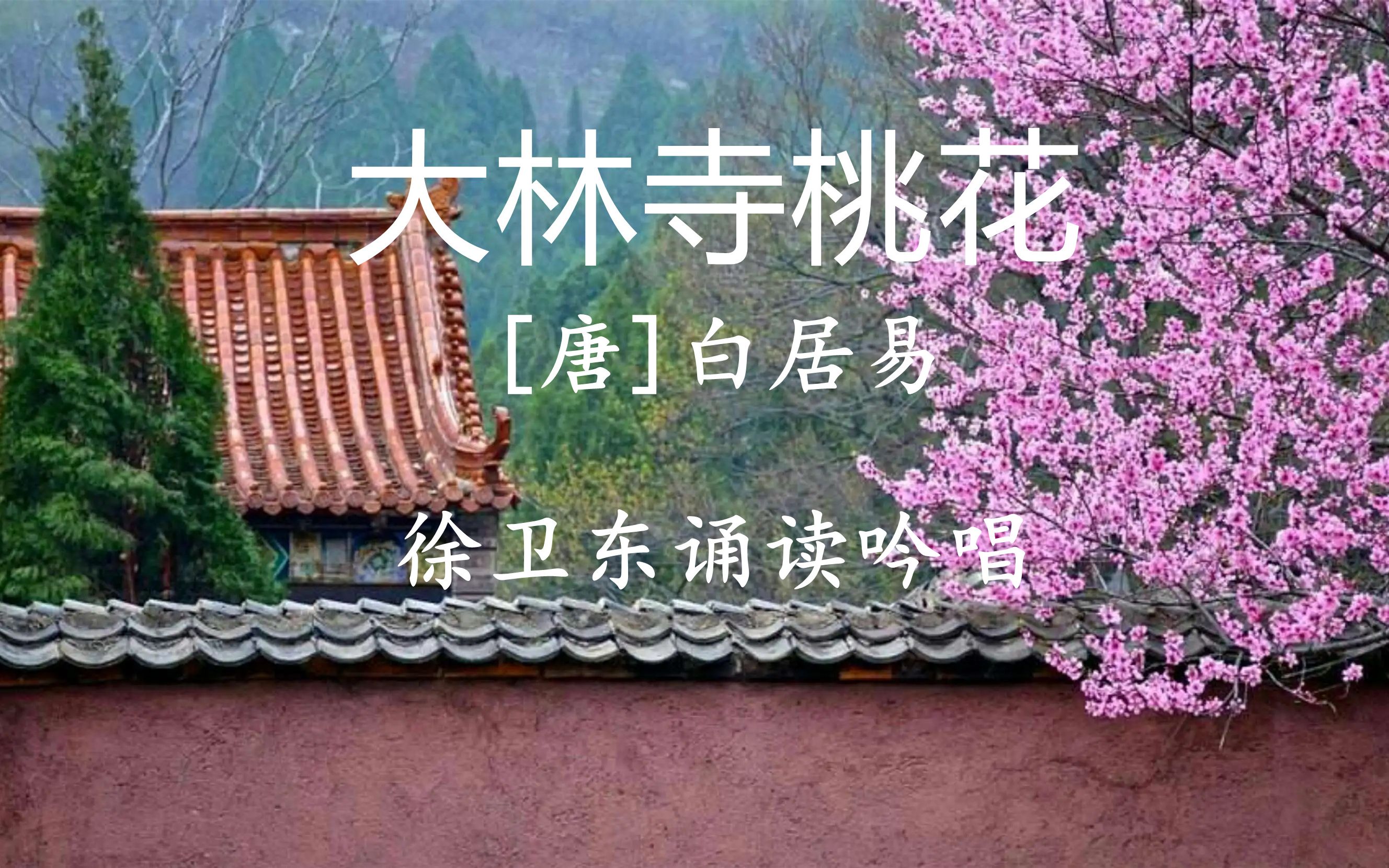 [图]徐卫东教授吟诵《大林寺桃花》（白居易） 好听好看又易学