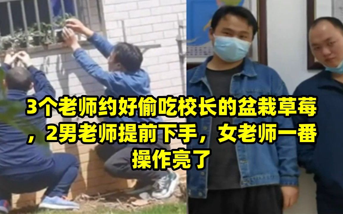 3个老师约好偷吃校长的盆栽草莓,2男老师提前下手,女老师一番操作亮了哔哩哔哩bilibili