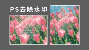零基础新手小白快速学会--PS修补工具-去除文字水印效果--详细教学视频！！