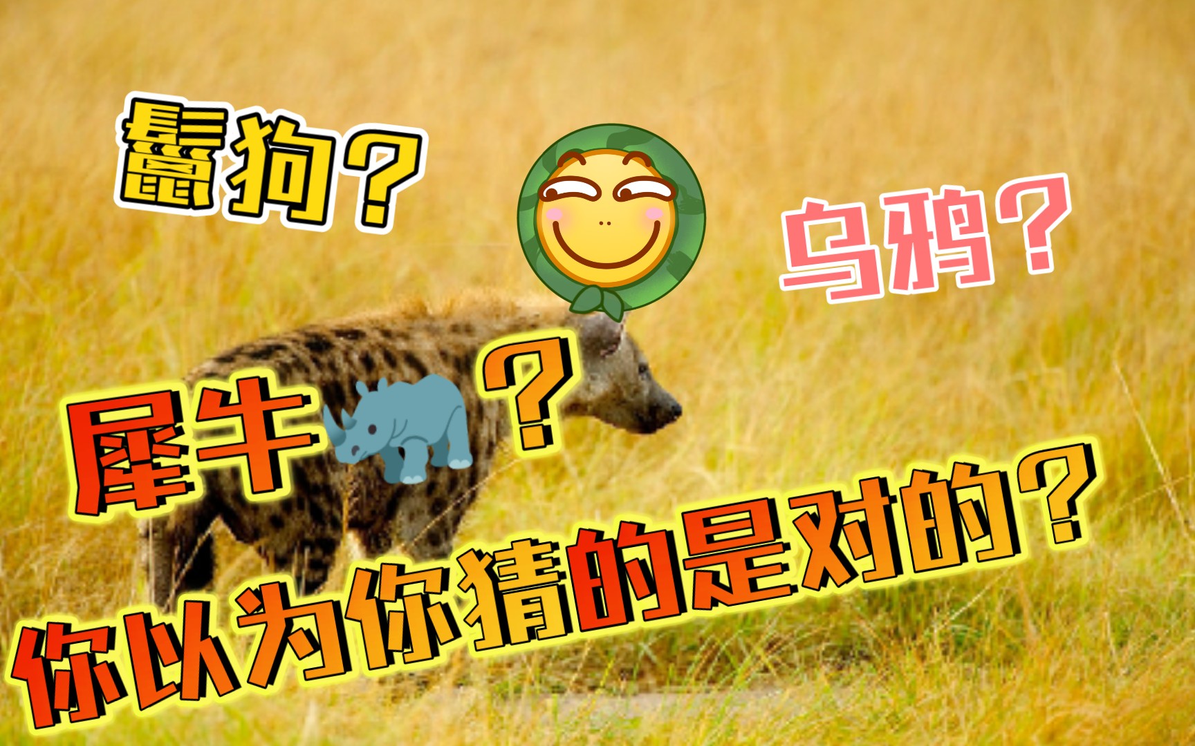 动物界最无畏的小勇士冠军来了你猜对了吗theend