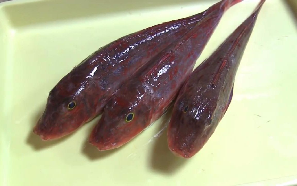 【日料刀工系列】红鲂鮄分解_哔哩哔哩 (゜-゜)つロ 干杯~-bilibili