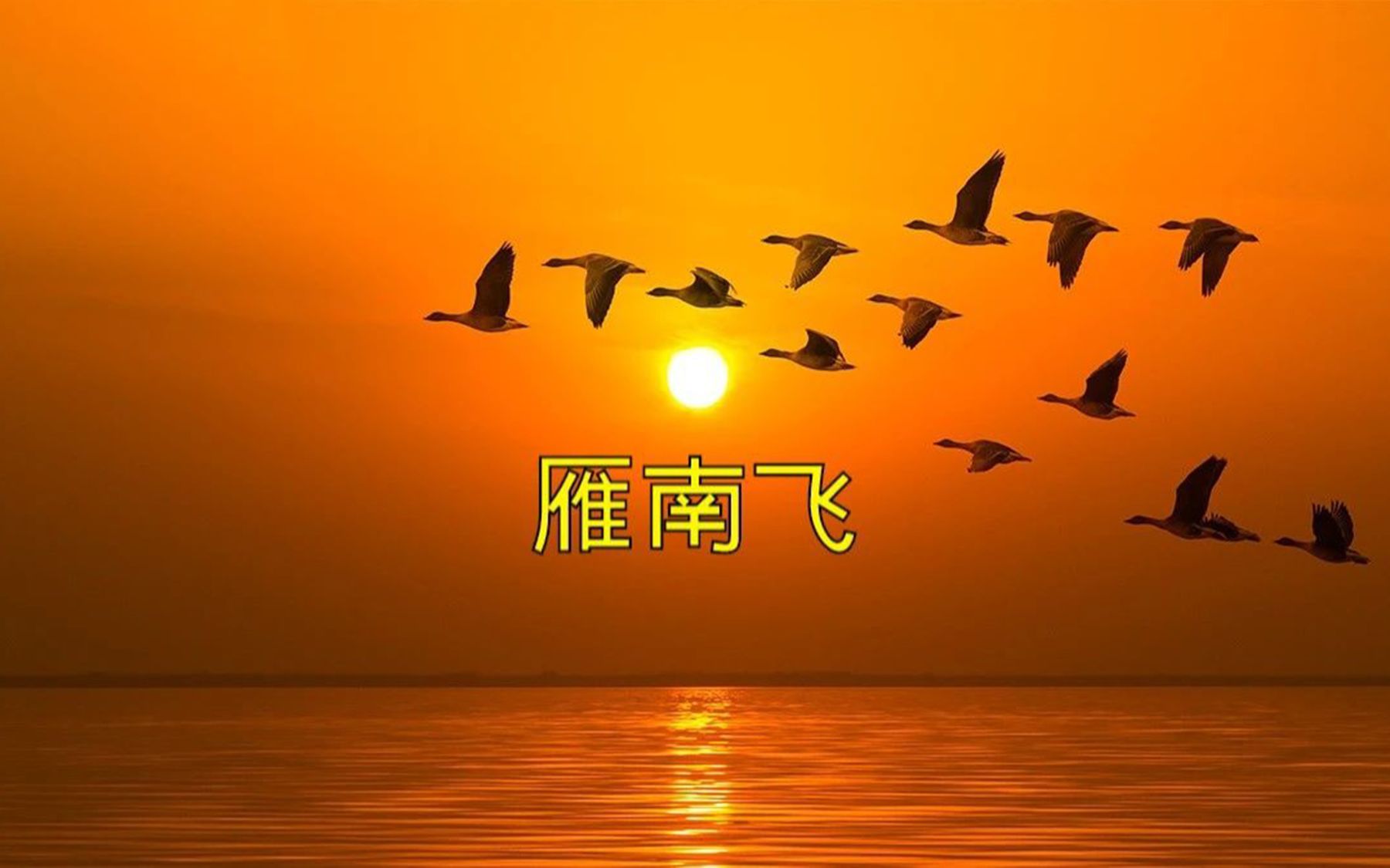 男女声合唱《雁南飞》,沧桑的嗓音唱这首歌太好听了!