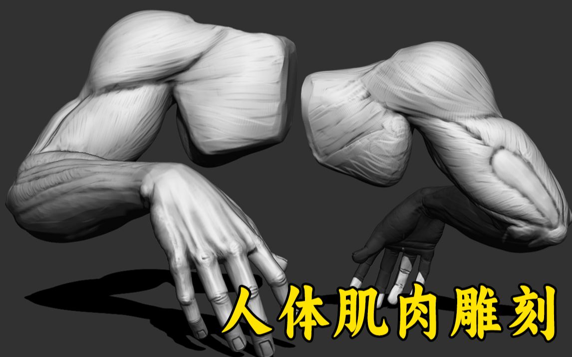 【zbrush人体雕刻】男性人体肌肉结构雕刻技巧,纹理细节雕刻教学,基础
