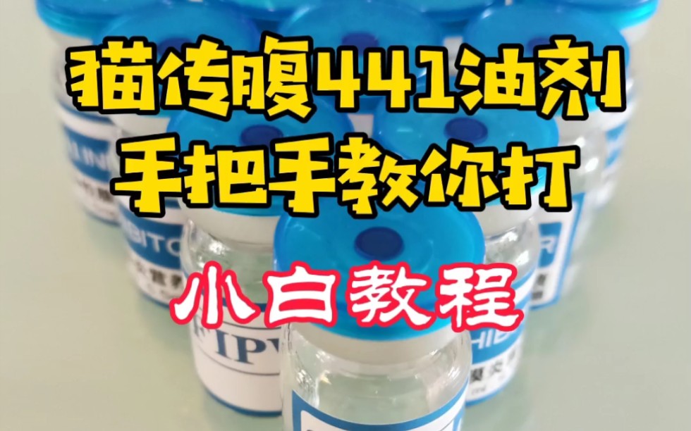 手把手教你猫传腹441针剂怎么打,在家自己打,不求人,省时,省力,省钱,赶快收藏起来吧!哔哩哔哩bilibili