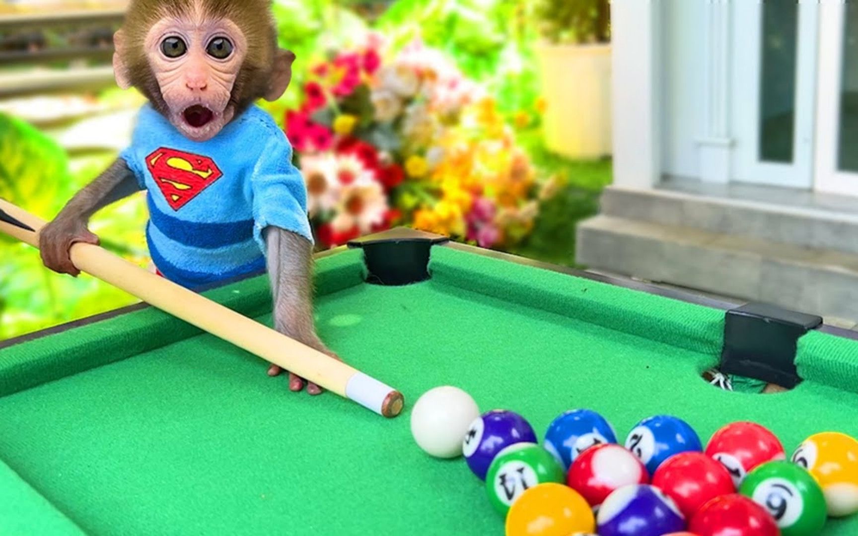 奇趣小猴子:小猴子尝试打台球,打完再和小鸭子一起去玩吧!