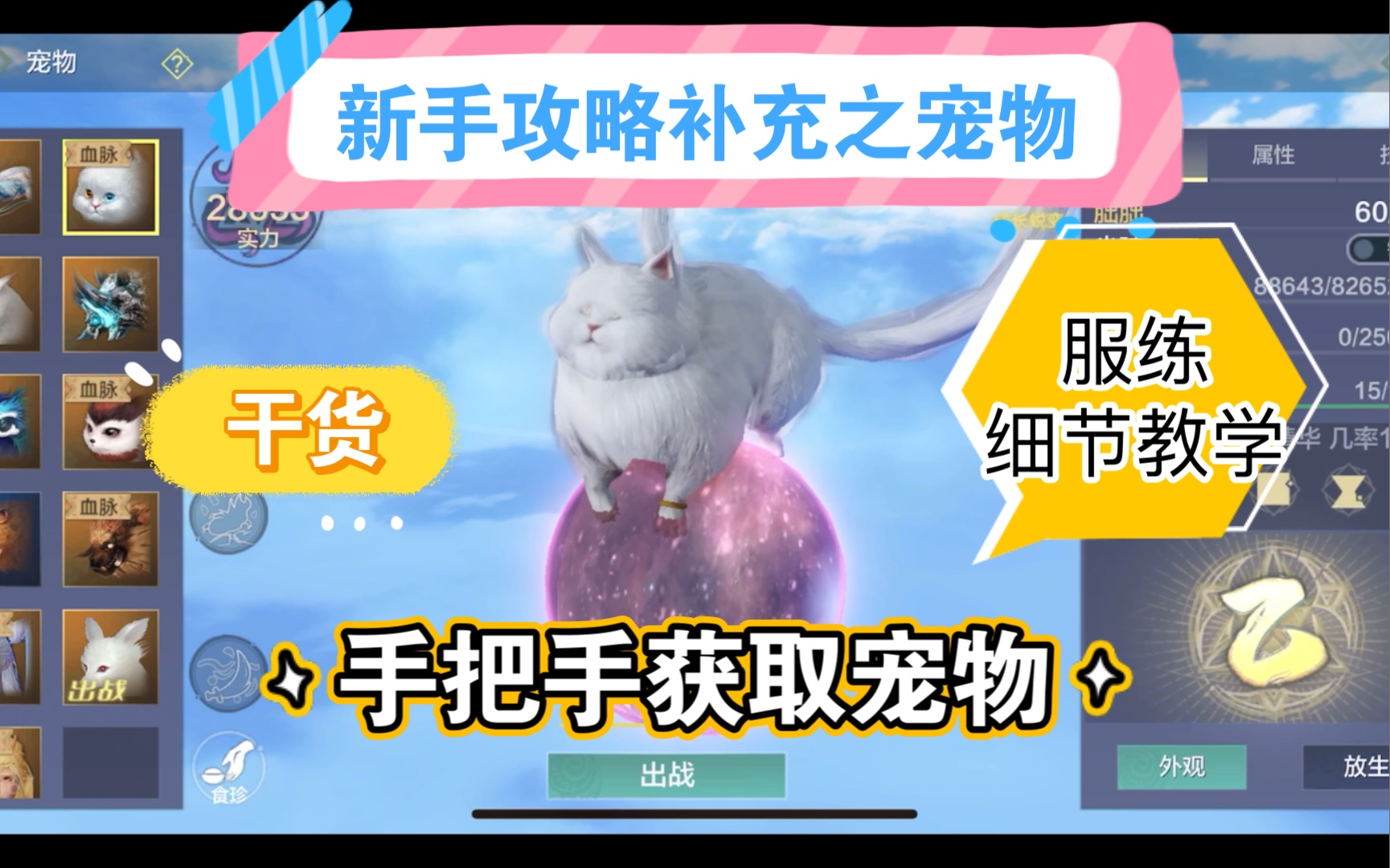 妄想山海:新手攻略补充之宠物,详细介绍新手推荐宠物,获取保姆级教程,以及宠物服练的详细演示!要开学了,祝大家学业有成!哔哩哔哩bilibili教学...