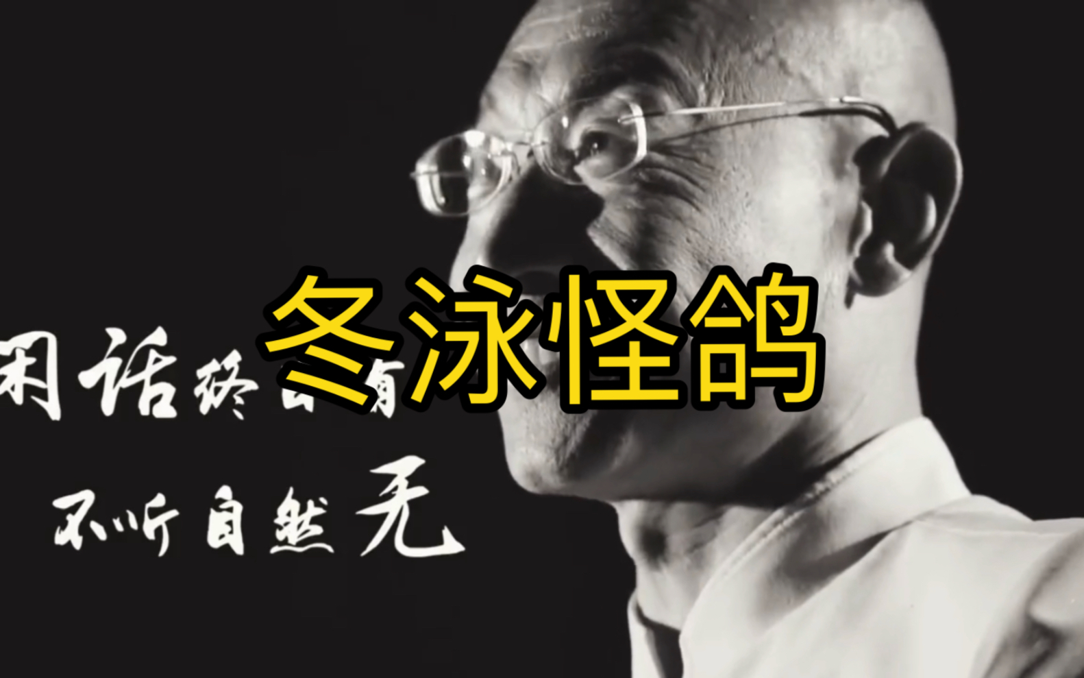 闲话终日有,不听自然无.大型纪录片《冬泳怪鸽》正在播出