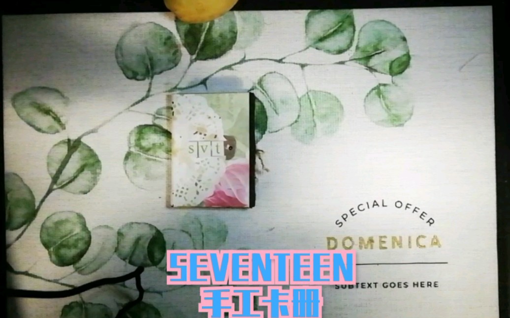 【追星卡册】【手工相册】SEVENTEEN小卡片收纳哔哩哔哩bilibili