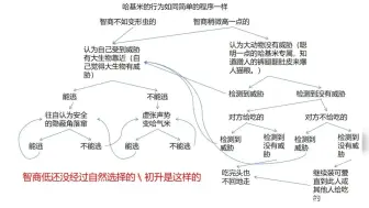 Télécharger la video: 哈基米行为分析