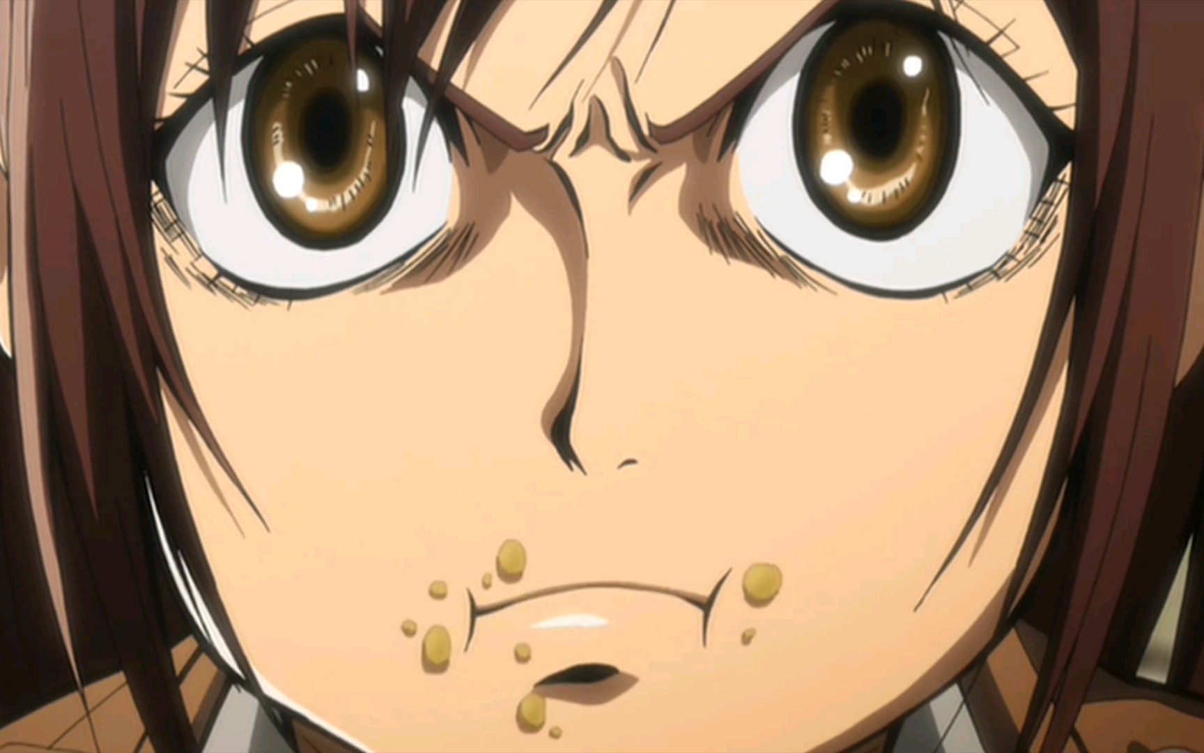 沙夏·布劳斯〕献给那个爱吃肉,在残酷的世界带给你我欢乐的女孩.