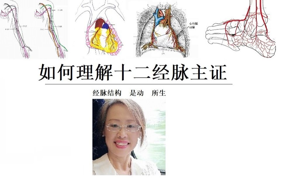 如何理解十二经脉主证 经脉结构 是动 所生 臂厥 踝厥 骨厥 骭厥哔哩哔哩bilibili