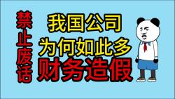 禁止废话:我国公司为何如此多财务造假哔哩哔哩bilibili