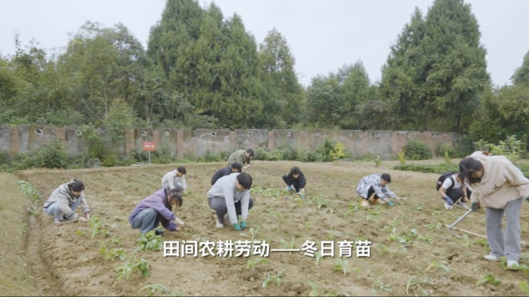 【西南科技大学】学校“子云圃”劳动教育基地开展了一场别开生面的劳动教育活动哔哩哔哩bilibili