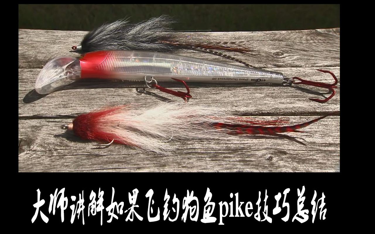 飞钓技巧传授大师讲解全面总结飞蝇钓狗鱼pike&musky技巧哔哩哔哩bilibili