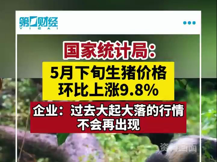 国家统计局:5月下旬生猪(外三元)价格环比上涨9.8%哔哩哔哩bilibili