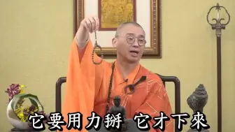 Video herunterladen: 念珠的名称、道理、用意；当家、住持等各种称法的运用【法藏法师】