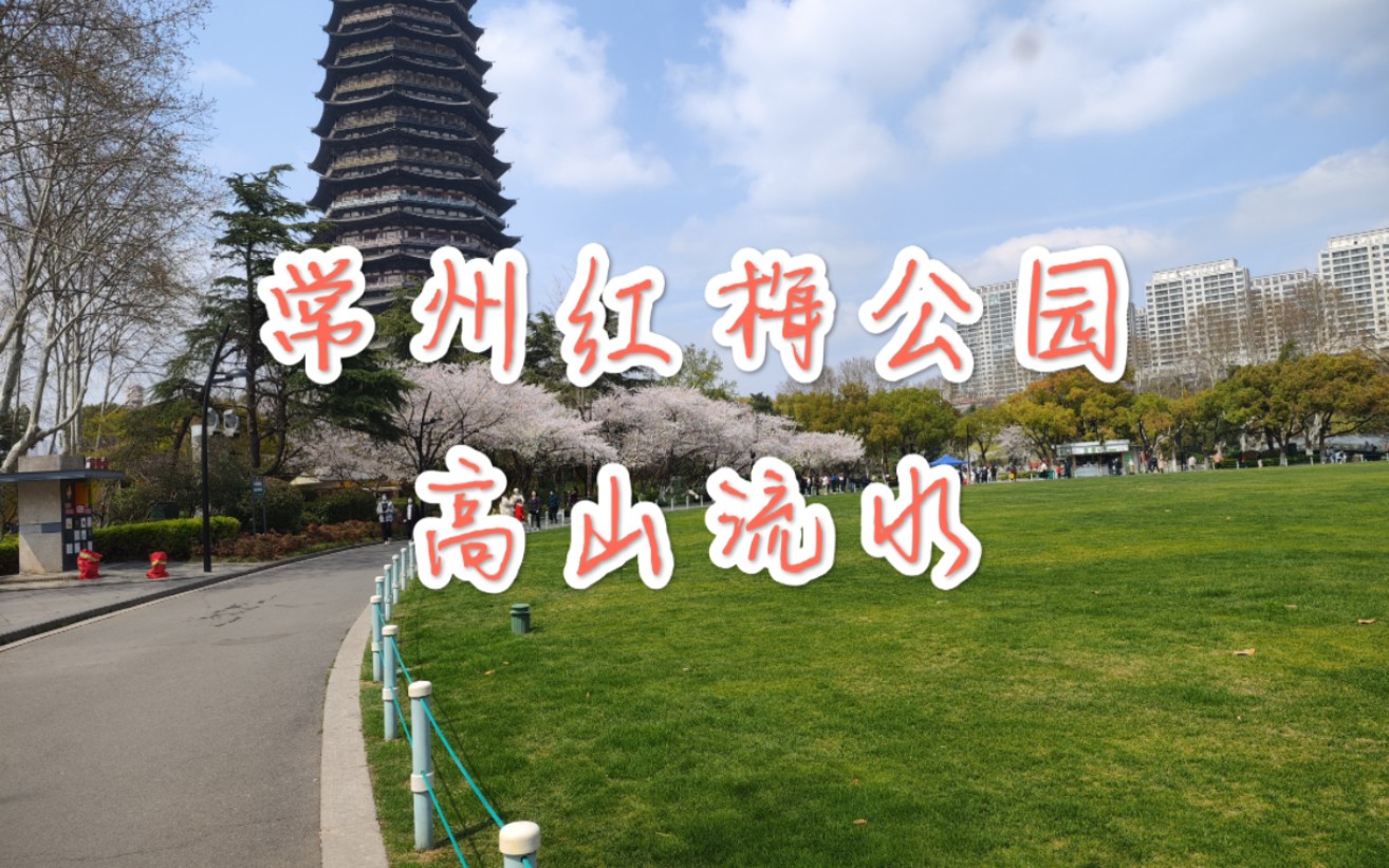 常州红梅公园高山流水,天宁寺旁边