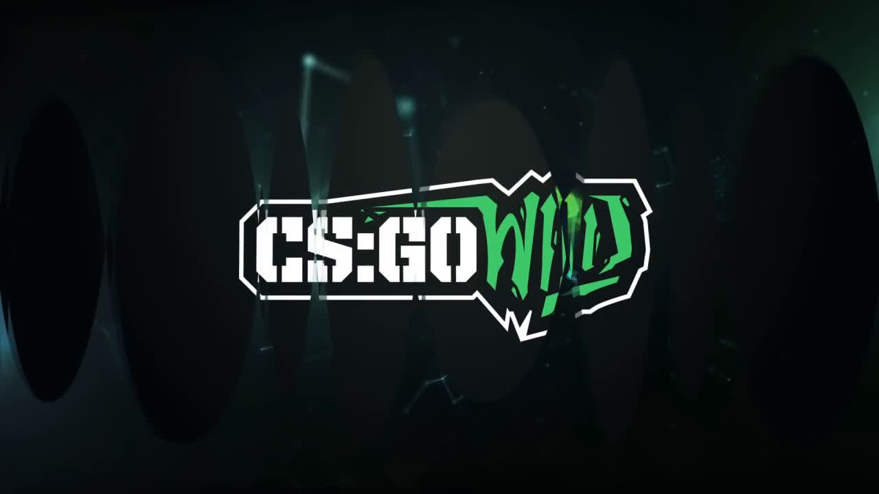 csgo - 2016十大不可思议职业哥vac镜头