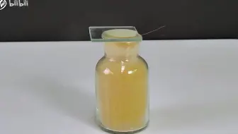 《高中教材实验》必修一 第二章 Cl2和Cu单质