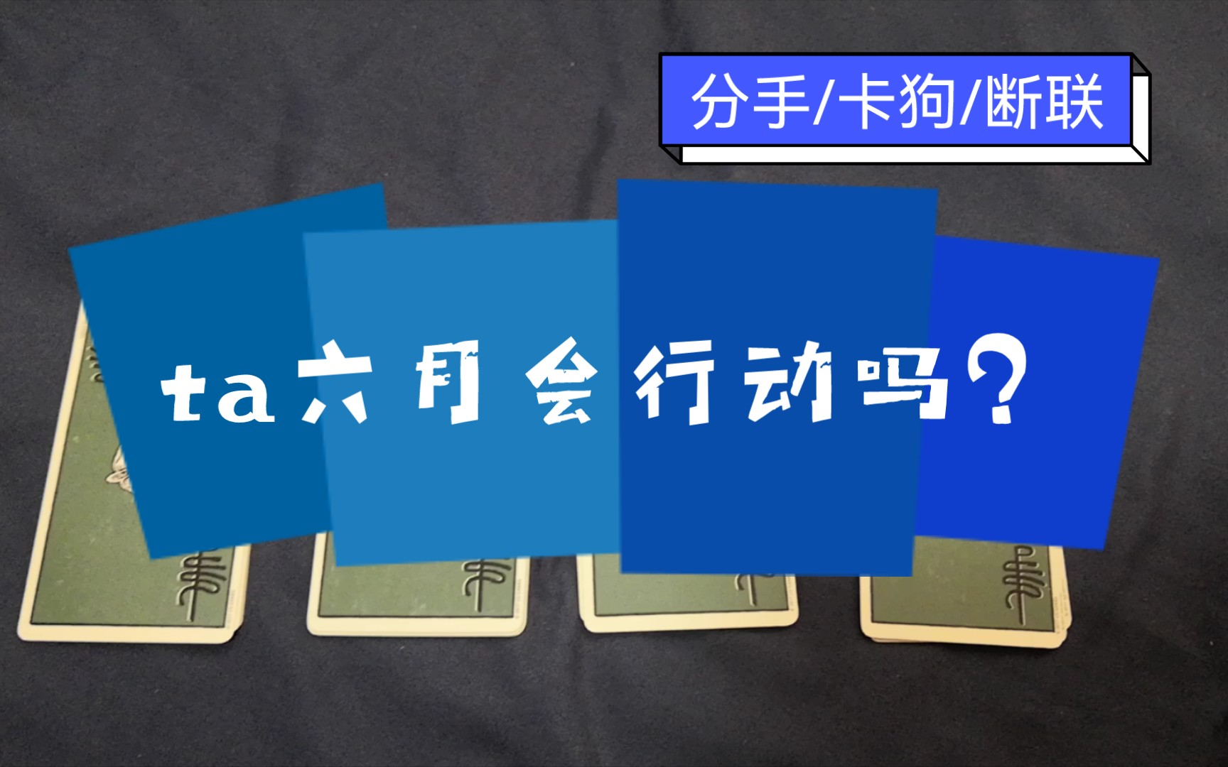 【江离】ta六月份会有什么行动?(分手/卡狗/断联)哔哩哔哩bilibili