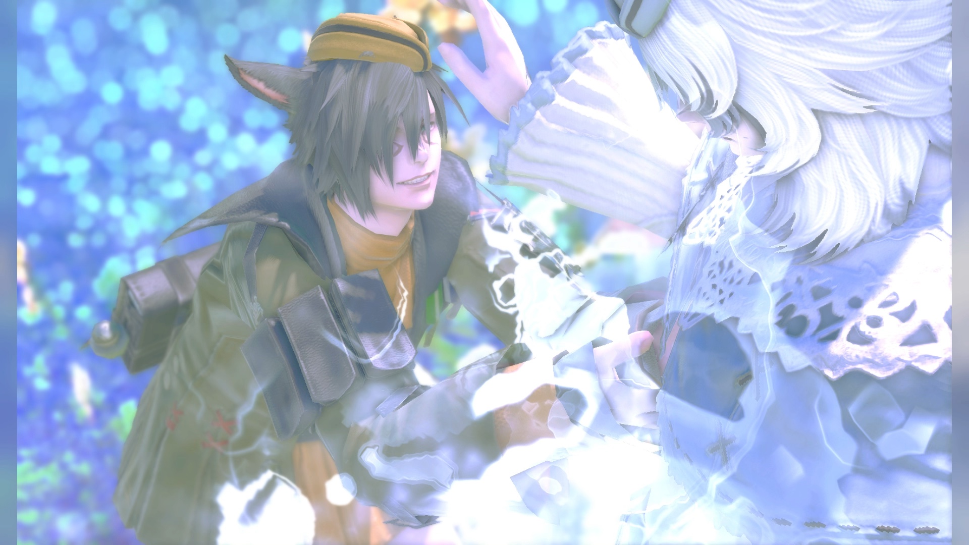 低脂健康小猫小兔照片