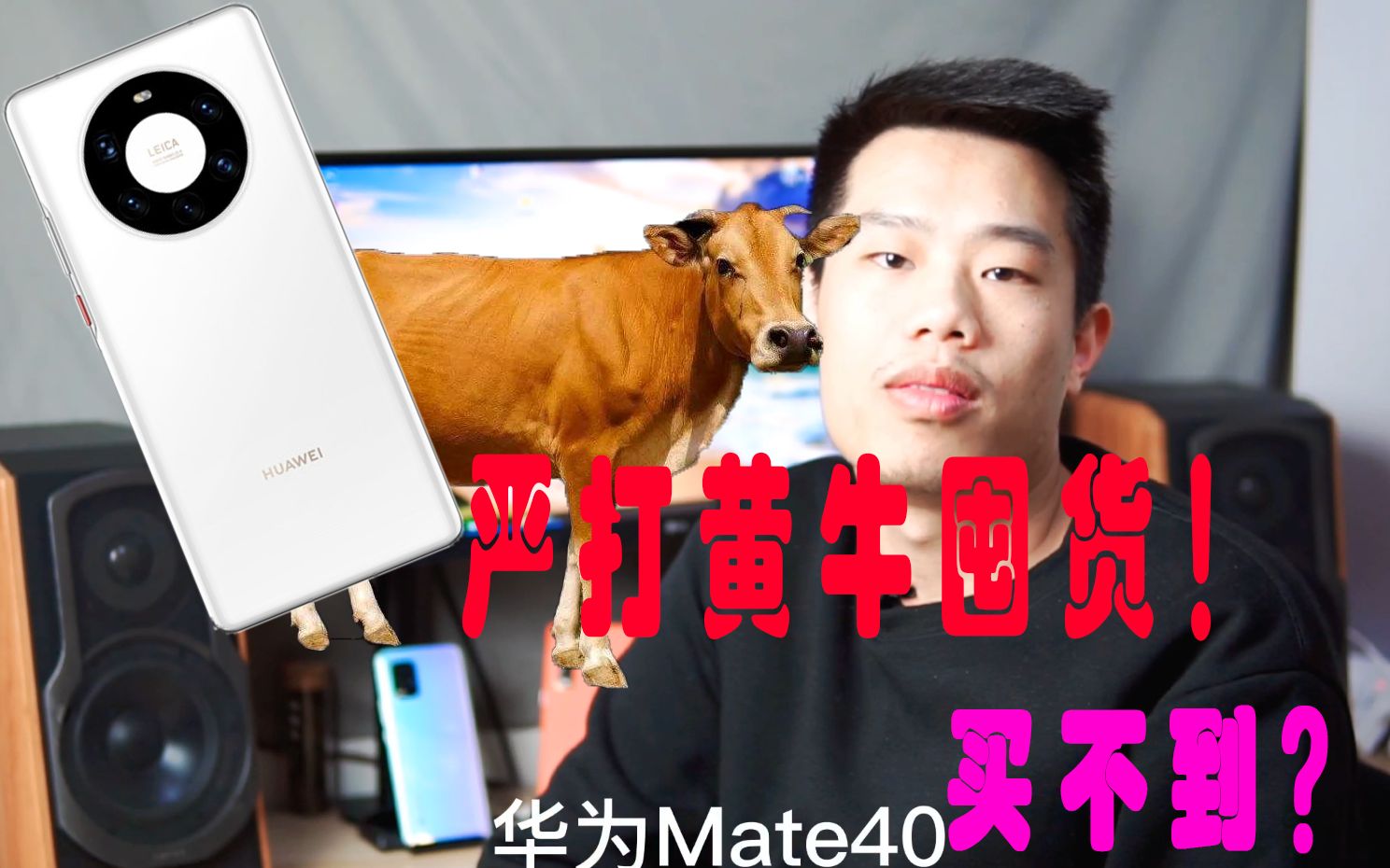 华为严管囤货,首批Mate40必须12小时卖完?哔哩哔哩bilibili