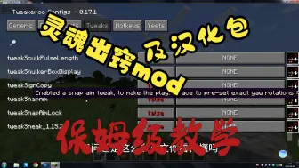 下载视频: 灵魂出窍mod及其汉化