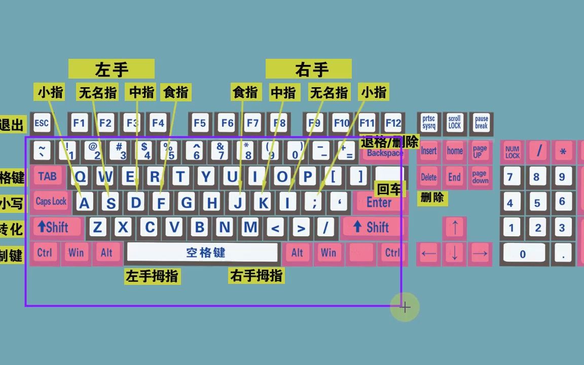 零基础学电脑打字,快速学会键盘打字,适合初学者学习哔哩哔哩bilibili