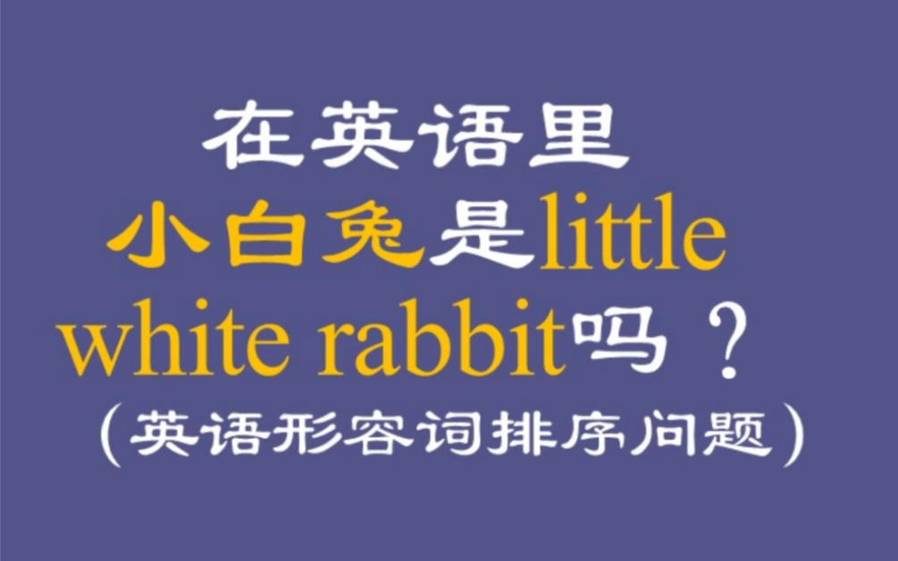 [图]英语里的小白兔也是little white rabbit吗？一个口诀带你搞懂多个形容词排序问题！