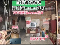 Télécharger la video: 做猫meme视频