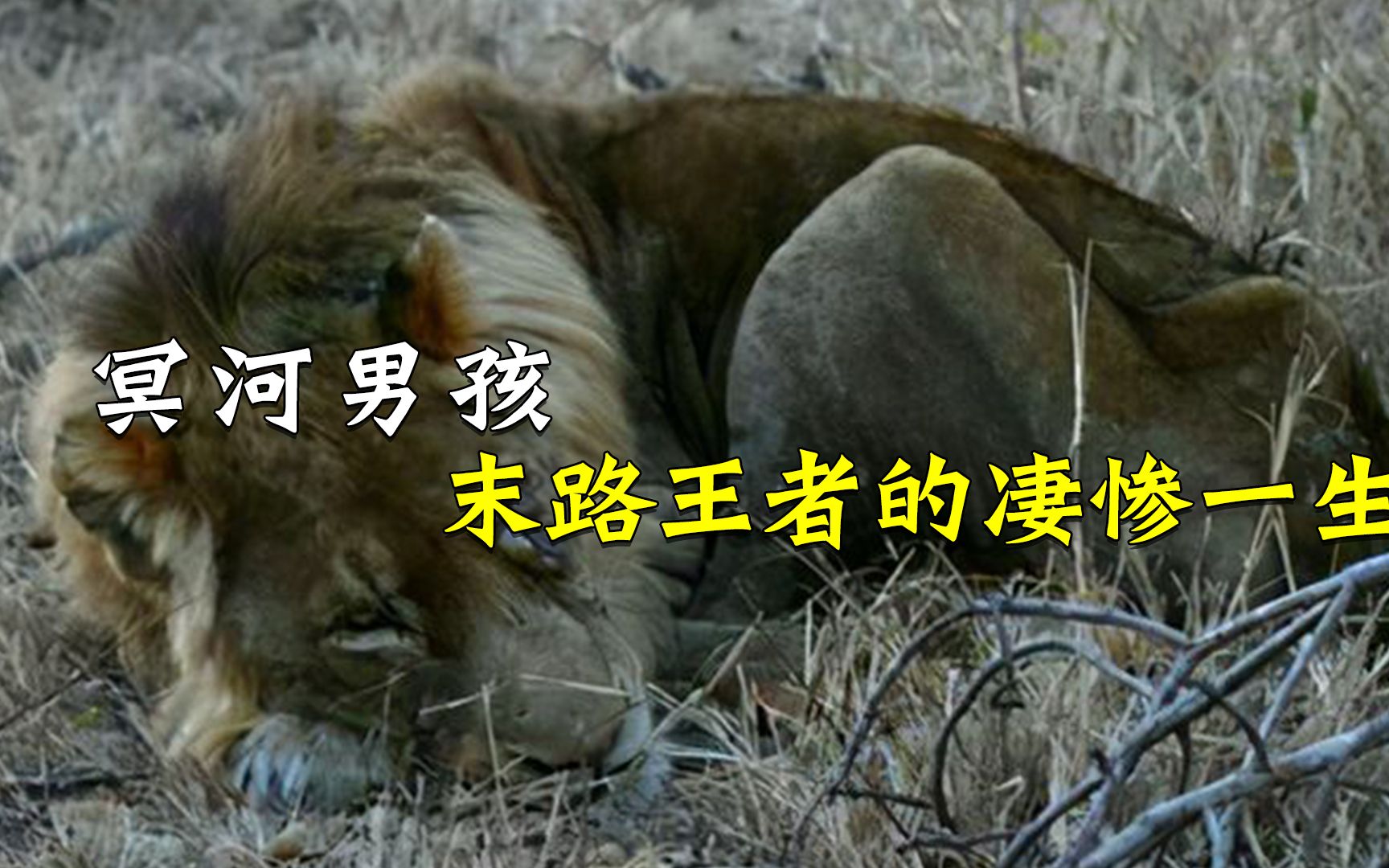 冥河男孩末路王者的悲惨一生