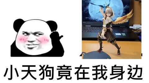 阴阳师典藏皮肤一览 少羽大天狗 锦羽金鹏 哔哩哔哩 つロ干杯 Bilibili