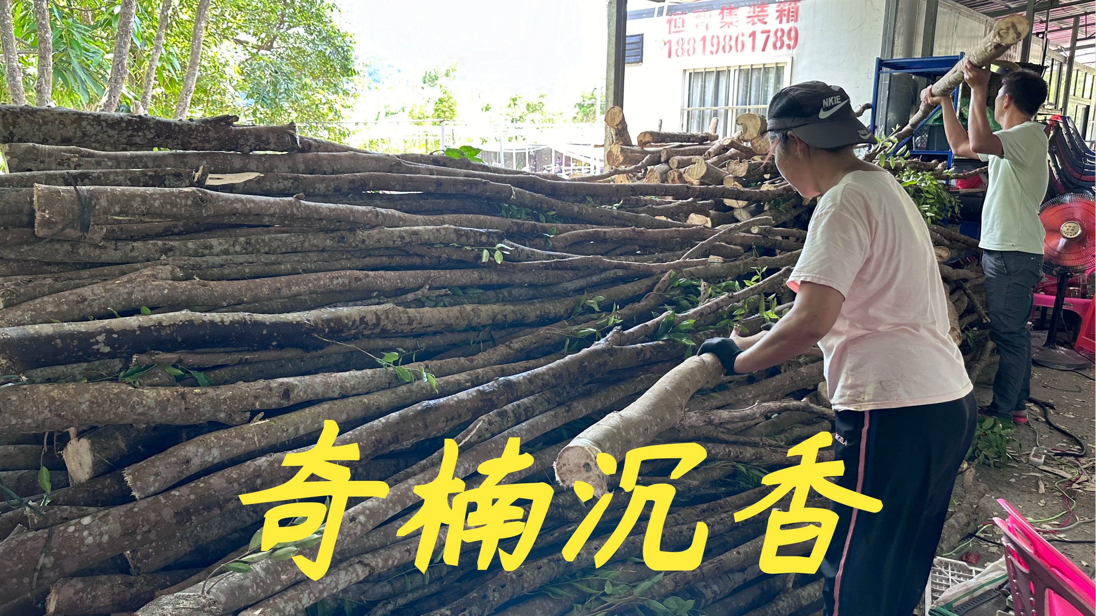 大家问奇楠沉香是不是降价了,今天老林来给大家分析一下