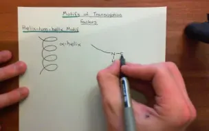 【转录因子】Transcription Factors Part 5