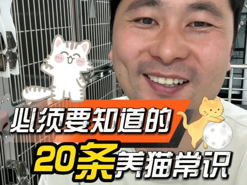 新手养猫要知道的二十条养猫知识哔哩哔哩bilibili