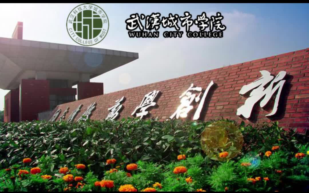 武汉城市学院教学楼图片