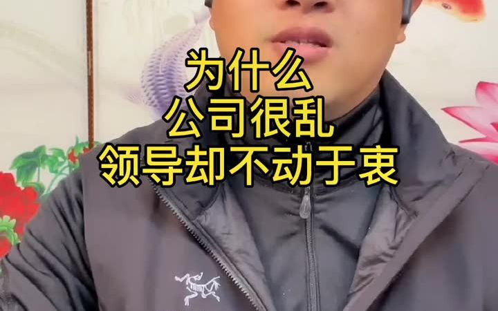 公司很乱,为什么领导却无动于衷哔哩哔哩bilibili